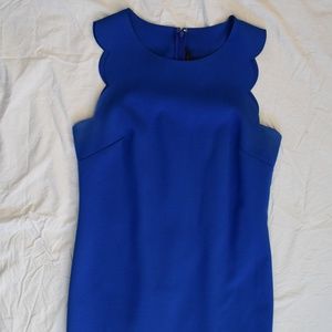 J. Crew Royal Blue Scallop Dress size 6